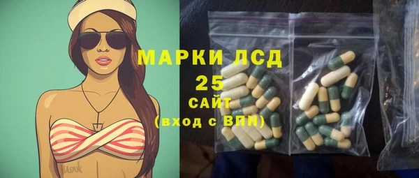 шишки Заволжск