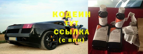 шишки Заволжск