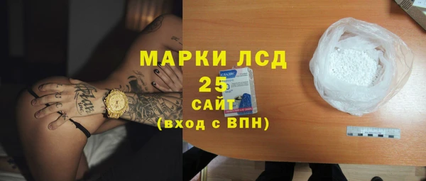 шишки Заволжск