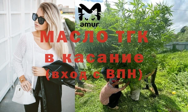 шишки Заволжск