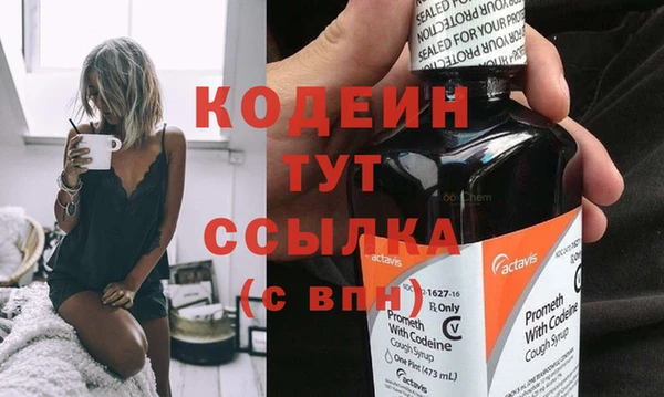 шишки Заволжск