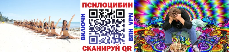 Купить где  Руза  Галлюциногенные грибы Psilocybe 